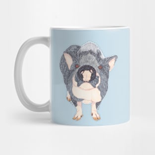 POT BELLIED PIG Mug